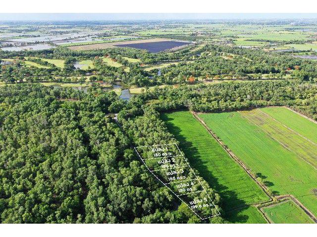 ขายที่ดินใกล้ Dynasty Golf & Country Club แปลง 2 เนื้อที่ 180 ตร.วา บางเลน นครปฐม ราคา 864000 บาท