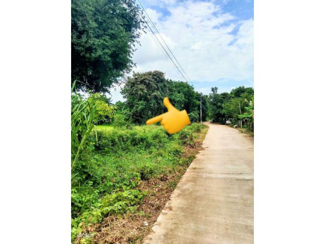 ที่ดินอยู่อาศัย ติดถนน กลางชุมชน อ.ชำนิ บุรีรัมย์