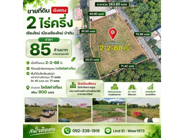 L384-ขายที่ดินผังแดง 2ไร่ครึ่ง เชียงใหม่ เมืองเชียงใหม่ ป่าตัน