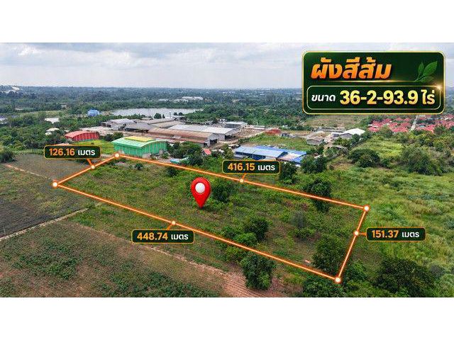 ที่ดินแปลงสวย ถนนซอยพลูตาหลวง50 แปลงเหลี่ยมสวย พร้อมต้นยางอายุประมาณ 2 ปี