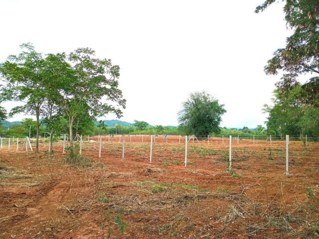1 ไร่ โฉนดครุฑแดง ที่ดิน มวกเหล็ก สระบุรี