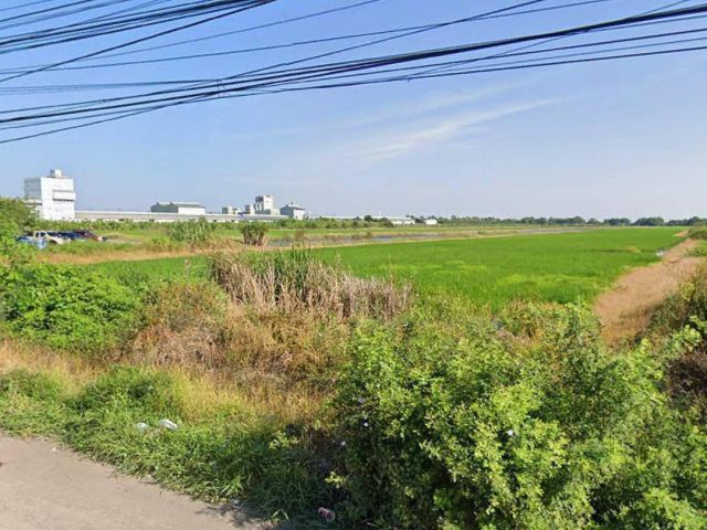 ขายที่ดินเปล่า 61-2-03 ไร่ ติดถนน สุวินทวงศ์ เยื้องตลาดปองพล ต.คลองนครเนื่องเขต อ.เมืองฉะเชิงเทรา ฉะเชิงเทรา