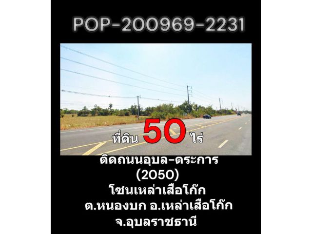 POP-200969-2231 ที่ดิน 50 ไร่ ติดถนนอุบล-ตระการ (2050) โซนเหล่าเสือโก๊ก ต.หนองบก อ.เหล่าเสือโก๊ก จ.อุบลราชธานี