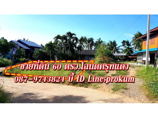 ขายที่ 60 ตรว. บ้านโตก300,000