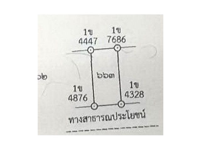 ขายที่ 1 งาน 50 ตรว. บ้านโตก