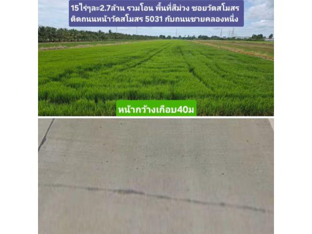 พื้นที่สีม่วง 15ไร่ๆละ2.7ล้านรวมโอน ซอยวัดสโมสร  ติดถนนหน้าวัดสโมสร 5031 กับถนนชายคลองหนึ่ง หน้ากว้างเกือบ40