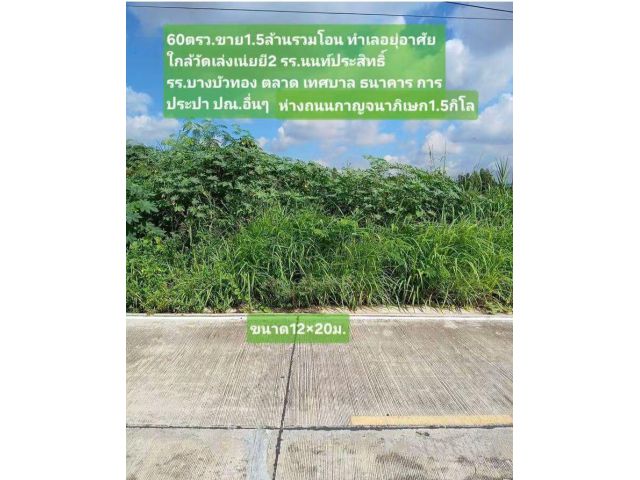 60ตรว.ขาย1.5ล้านรวมโอน ทำเลอยุ่อาศัย  ห่างกาญจนาภิเษก1.5กิโล ใกล้วัดเล่งเน่ยยี2 รร.นนท์ประสิทธิ์ รร.บางบัวทอง ตลาด เทศบา