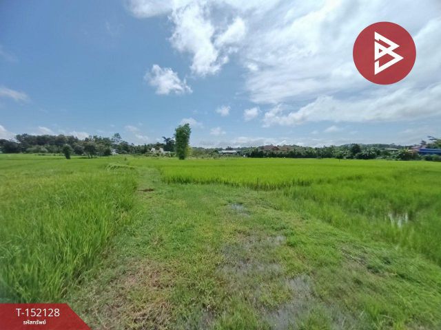 ขายที่ดิน เนื้อที่ 3 งานไชยสถาน น่าน