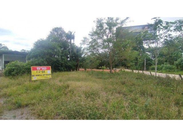 ขายที่ดิน 1-2-64 ไร่ พร้อมบ้าน ใกล้ท่าอากาศยานนานาชาติสุราษฎร์ธา