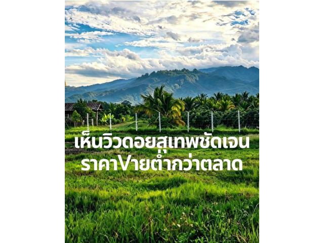 ขายที่ดินเปล่า ️เจ้าของขายเอง️ เชียงใหม่ ใกล้ห้างใหญ่