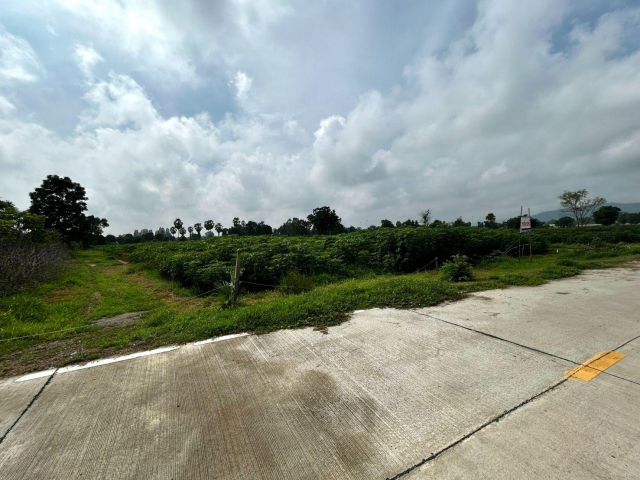 ขายที่ดินใกล้ M81 ต.หนองขาว อ.ท่าม่วง