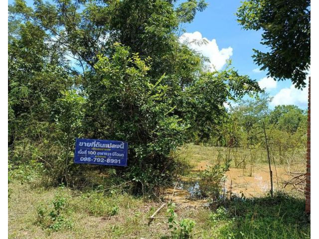 ขายที่ดิน 100 ตรว.ต.พรหมณี จ.นครนายก เจ้าของขายเอง!