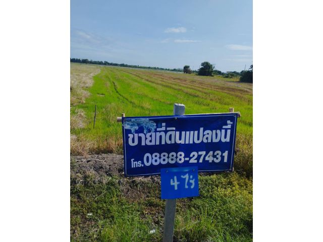 ขายที่ดินสี่ไร่ ใกล้วัดไผ่โรงวัว
