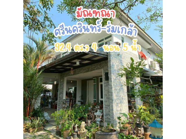 ขายบ้านเดี่ยวหลังใหญ่ แปลงมุม มัณฑณา ศรีนครินทร์-ร่มเกล้า 92.4 ตร.ว. 4 นอน 5 น้ำ มีห้องแม่บ้านแยก มีพื้นที่สวนข้างบ้าน