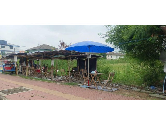 ขายที่ดิน 39 ไร่ คลองสี่ ถนนพระองค์เจ้าสาย ใกล้ตลาดลาดสวาย อ.ลำลูกกา จ.ปทุมธานี