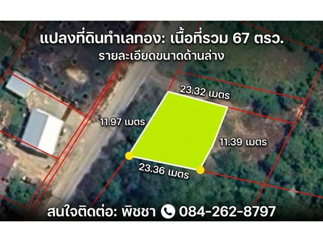 ขายที่ดินเปล่า พุนพิน สุราษฎร์ธานี ที่ดินแปลงเล็ก ราคาจับต้องได้ เพียง 290,000 บาท