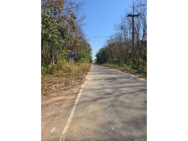 ที่ดินพร้อมสวนยาง