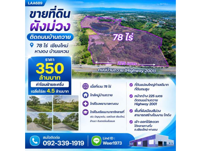 LAA689-ขายที่ดินผังม่วง ติดถนนบ้านถวาย 78ไร่ เชียงใหม่ หางดง บ้านแหวน