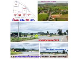 (โฉนด) ที่ดิน 290 ตรว.ๆละ 3,500 บ. (ติดทางหลวงชนบท 3019 หลังติดถนนคอนกรีต) พร้อมถม ใกล้ รพ.สต.โป่งพรานอินทร์ ม.8 ต.ดอนคา อ.อู่ทอง 8 กม. จ.สุพรรณบุรี