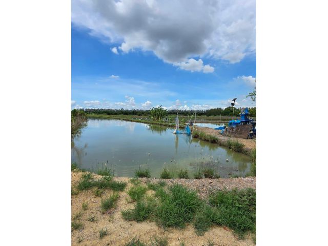 ขายที่ดิน 16 ไร่ 1 งาน 20 ตร.ว. ตร.ว. ละ 1,500 บาท อ.ดอนตูม จ.นครปฐม