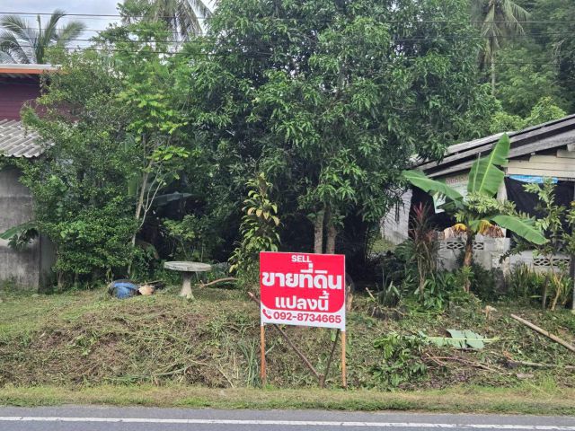 ที่ดินเปล่าเกาะกลาง เกาะลันตา1งาน