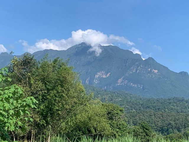 ขายที่ดินเชียงดาวแม่นะวิวดอยหลวงติดน้ำลำห้วยติดบัวชมพูรีสอทร์