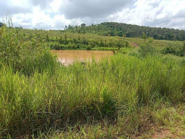 ที่ดิน ภบท 60 ไร่ ใกล้ถนนทางหลวงภูเรือ-เลย 2700000