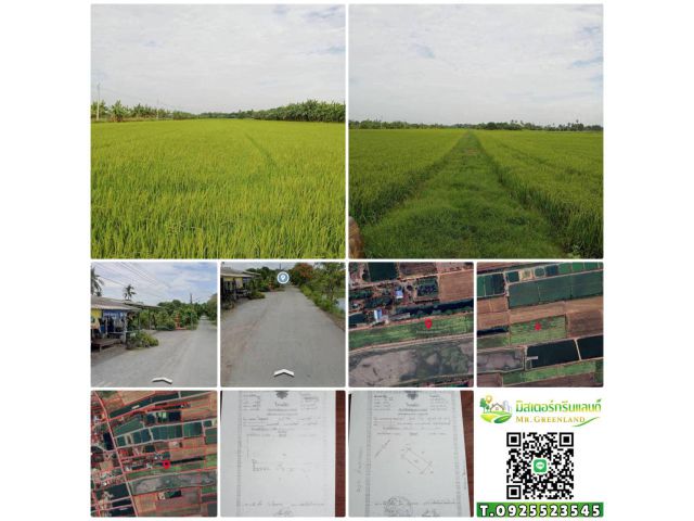 ขายที่ดินเปล่า ตำบลมะขามล้ม อำเภอบางปลาม้า สุพรรณบุรี