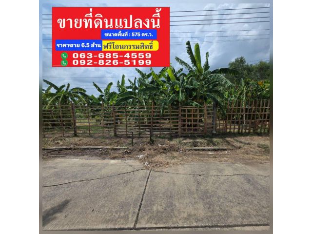 ที่ดินคลอง3 1 ไร่ 1 งาน 75 ตรว เพียง 6.5 ล้าน