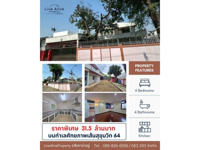 สินทรัพย์ศักยภาพสูง ทำเลทองสุขุมวิท ขายด่วน ! บ้านพร้อมที่ดินแปลงสวย ทำเลทองสุขุมวิท 64 แปลงหัวมุม สังคมบ้านหลังใหญ่