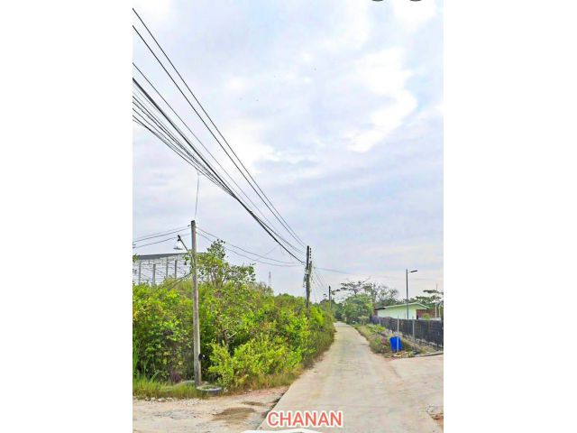 ขายที่ดิน ถ.พระราม2 ซ.ถ.หมู่ที่3ซ.3 ถ.เลียบคลอง ใกล้สถานีตำรวจบางโทรัด เนื้อที่277ตรว