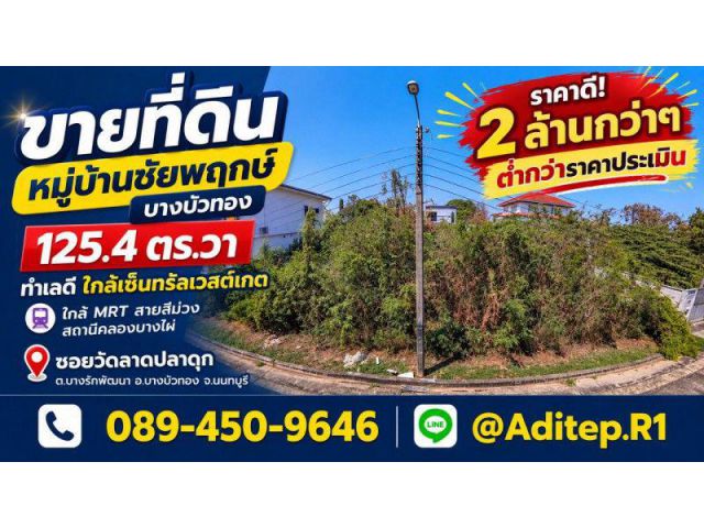 ขายต่ำกว่าราคาประเมิน ที่ดิน 125 ตร.วา หมู่บ้านชัยพฤกษ์ บางบัวทอง