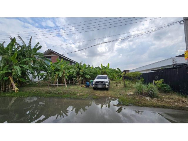 ขายที่ดินพัฒนาการ 191 ตรว ติดถนนลาดยางสาธารณะ ถมแล้ว ซ.พัฒนาการ 96 ประเวศ กทม.