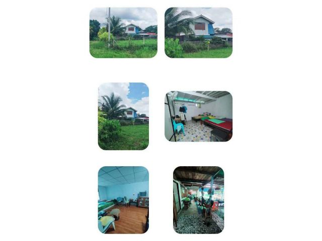 !!!!บ้านสวนโคกกรวดโฉนด80ตรว.ราคาน่ารัก