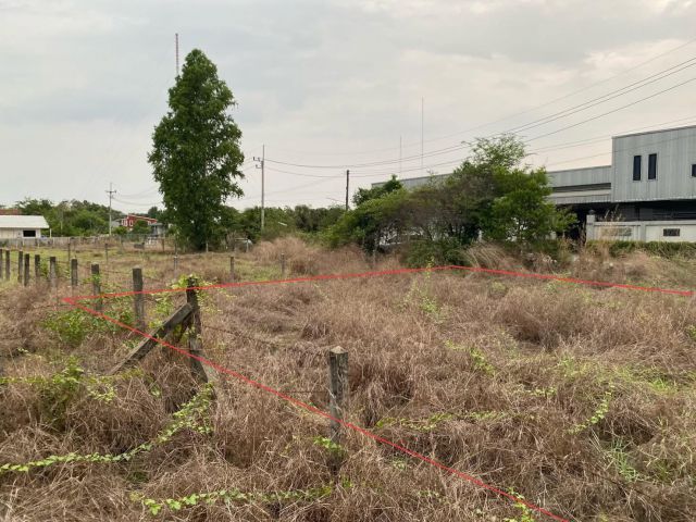 ขายที่ดินเปล่า เมืองอุบลราชธานี ใกล้ถนนใหญ่ บ้านปลาดุก ต.ไร่น้อย เหมาะสำหรับสร้างบ้าน