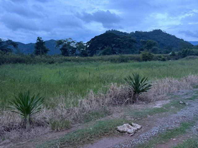 ขายที่ดินเขาใหญ่ หมูสี ถนนธนะรัชต์ 2 ไร่ ใกล้ทางขึ้นอุทยานแห่งชาติเขาใหญ่ เข้าจากถนนธนะรัชต์ 250 เมตร ใกล้โรงแรม เทมส์วั