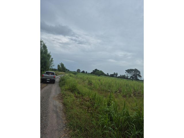 ขายที่ดินบ้านหนองหัวช้าง