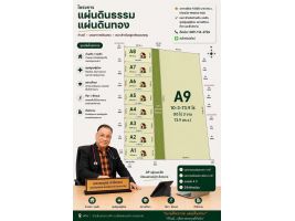ลงทุนระยะยาว ภายใน 3ปี ราคาจะพุ่งไปมากอย่างคาดไม่ถึง (หลังMedical Hub เปิดทำการสมบูรณ์แล้ว) ที่ดินโนนม่วง ใกล้ รพ.ศรีนครินทร์