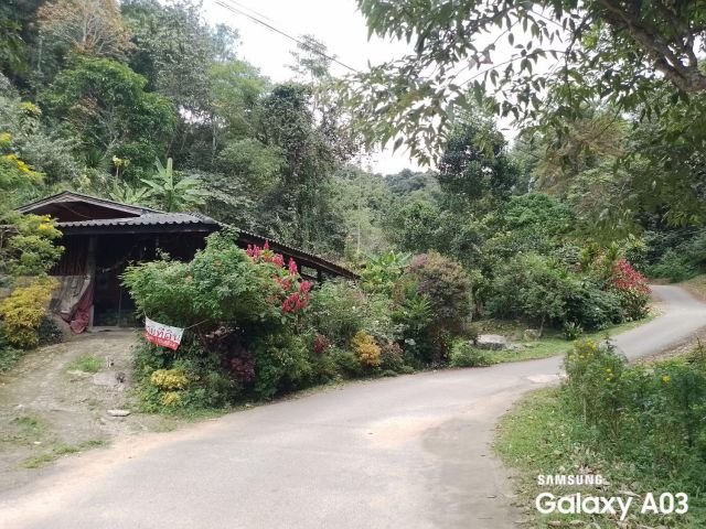 ขายบ้านพร้อมที่ดินติดลำธาร ต.เทพเสด็จ อ.ดอยสะเก็ด จ.เชียงใหม่