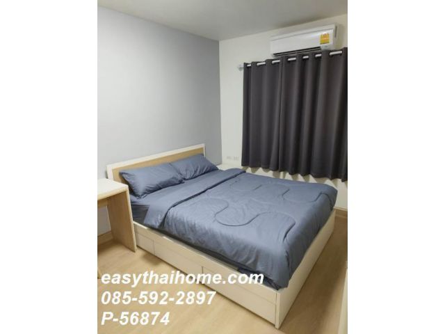 P-56874 ให้เช่าคอนโด My Condo Sukhumvit 81 ใกล้ BTS อ่อนนุช | 35 ตรม. วิวสวน เฟอร์+เครื่องใช้ไฟฟ้าครบ มีเครื่องซักผ้า