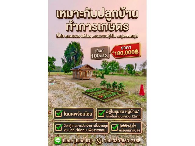 ที่ดิน หนองหญ้าไซ สุพรรณบุรี