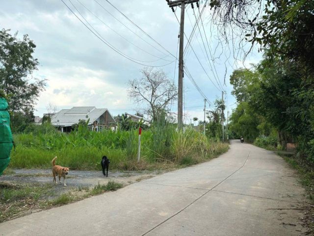 ขายที่ดินตำบลน้ำแพร่หางดงห่างถนนหลัก 700เมตร
