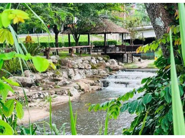 ขายที่ดินวิวภูเขาติดน้ำตำบลป่าเมี่ยงดอยสะเก็ตพร้อมโอน