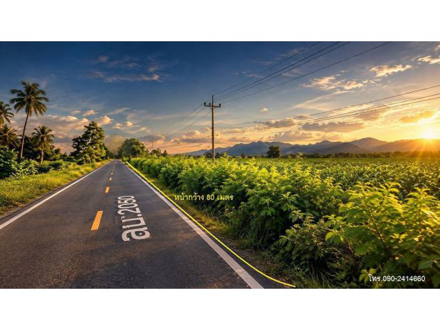 ที่ดินสวยชอนน้อย ที่สูงน้ำไม่ท่วม!ติดถนนใหญ่ 25 ไร่ ไฟฟ้า 3 เฟส น้ำประปาพร้อม ยกแปลง 5.5 ล้าน