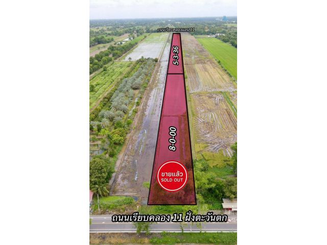 ️ที่ดินสวยเชิงเกษตรและบ้านสวน คลอง 11 อ.หนองเสือ จ.ปทุมธานี เหมาะทำบ้านสวน ที่จอดรถ แปลงเกษตร เกร็งกำไรยะยาว