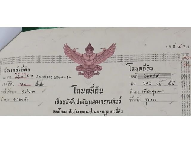 ขายที่ดินเปล่าบนเนิน โฉนด 1 งาน 15.9 ตร.ว. อยู่ในเขตเทศบาล ต.นาชะอัง อ.เมืองชุมพร ห่างศาลากลางจังหวัดเพียง 3 กม.ปลอดภัยจากน้ำท่วม
