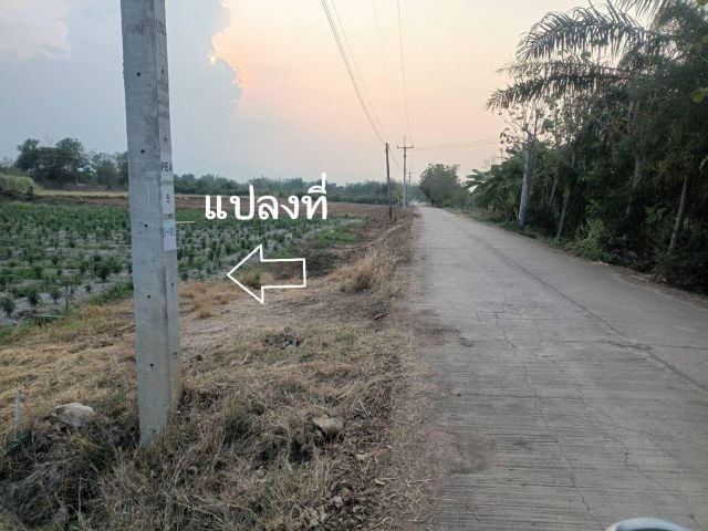 ขายที่ดินโฉนด จำนวน 2 ไร่ ต.ดงมูลเหล็ก อ.เมือง เพชรบูรณ์
