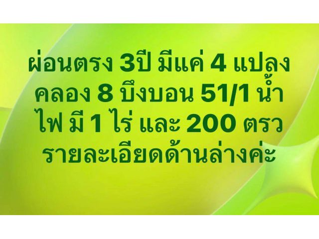 จองแปลง 1 ว่าง แปลง 2,3,4 ผ่อนไม่มีดอก น้ำ ไฟ มีแล้ว ขอมิเตอร์ได้เลย ใช้พื้นที่ได้หลังวางดาวน์ คลอง 8 บึงบอน