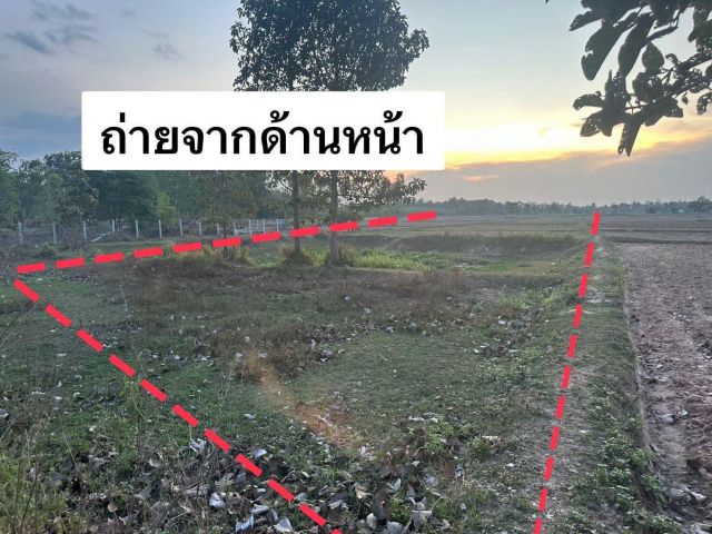 ขายที่ดิน 5 ไร่ ต.นอกเมือง อ.เมืองสุรินทร์ จ.สุรินทร์
