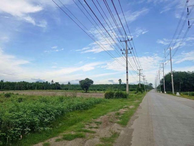 ขายที่ดินหนองอิรุณ บ้านบึง ชลบุรี 14ไร่-3งาน 8ตรว.พื้นที่สีเหลือง ใกล้นิคม Asia Clean Industrial Estate